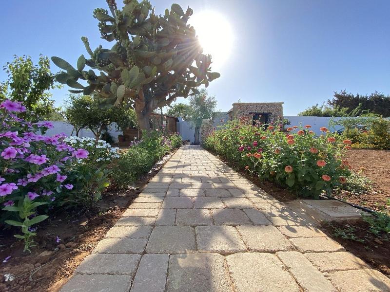B&B Fellini image