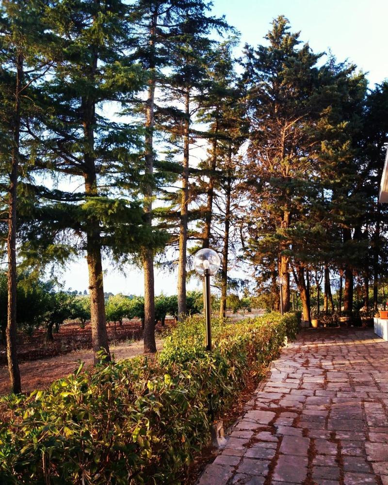 Dimora Romano image