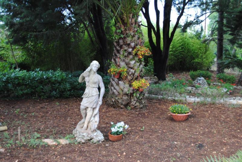 Dimora Romano image