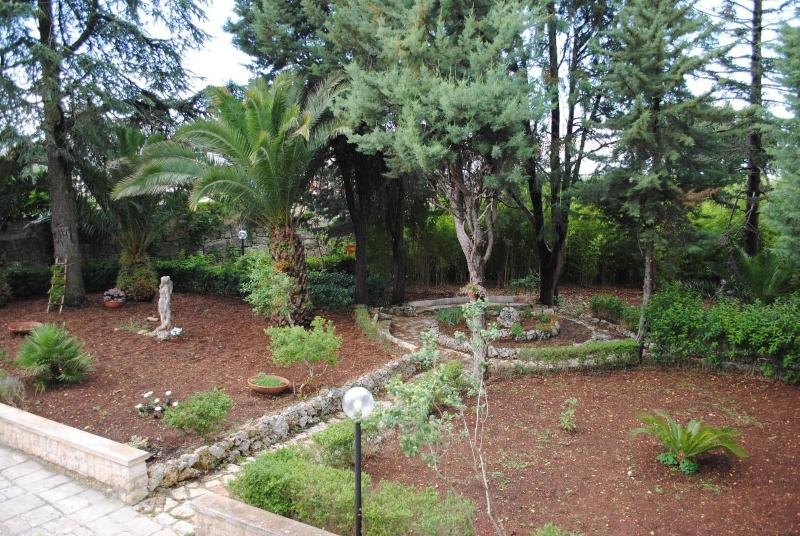 Dimora Romano image