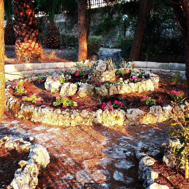 Dimora Romano image