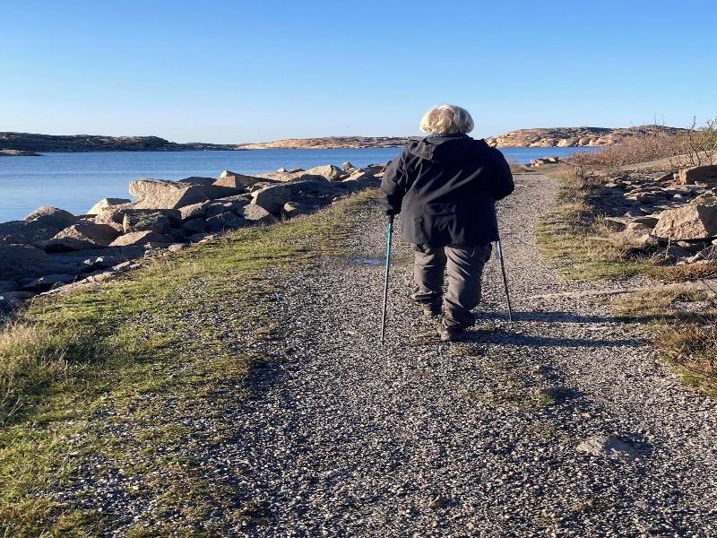 Kustnära Vandrarhem image 3