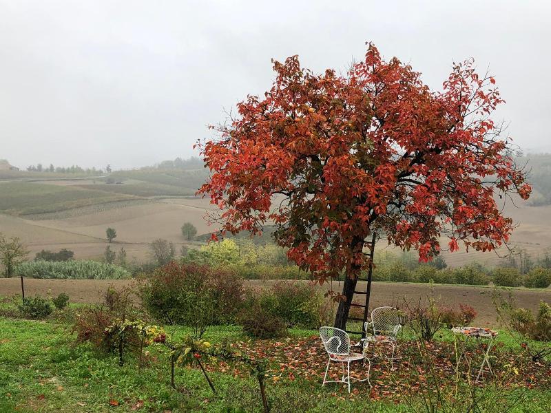 Cascina Vicentini image