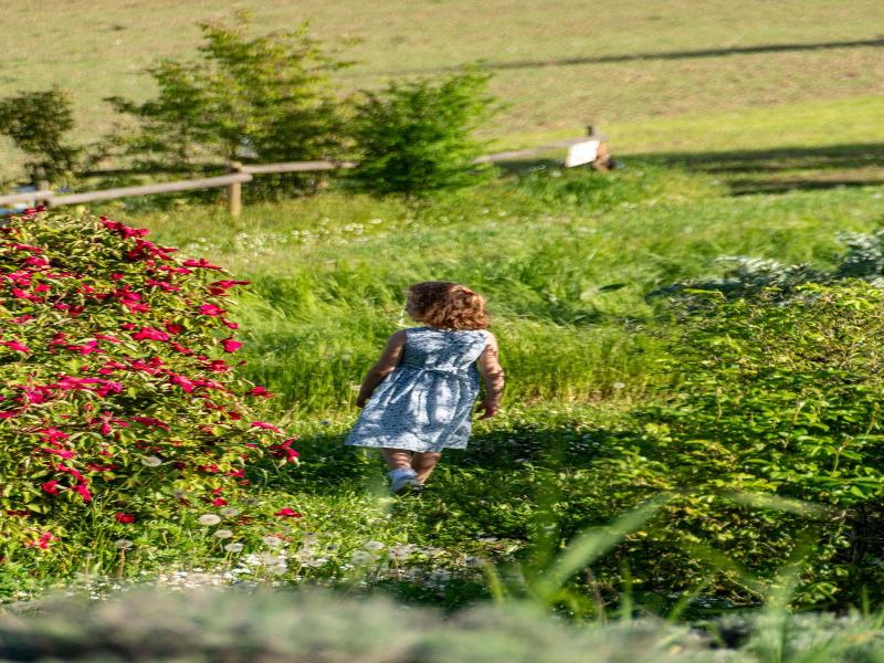 Cascina Vicentini image