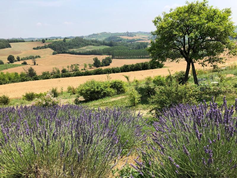 Cascina Vicentini image