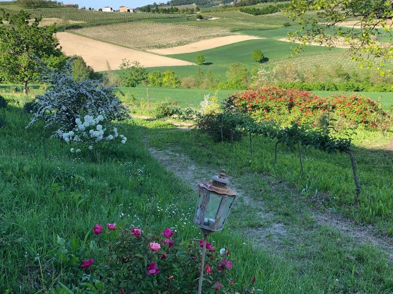Cascina Vicentini image