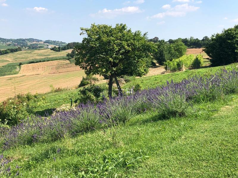 Cascina Vicentini image