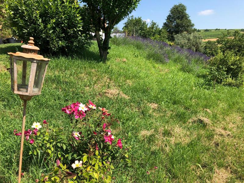 Cascina Vicentini image