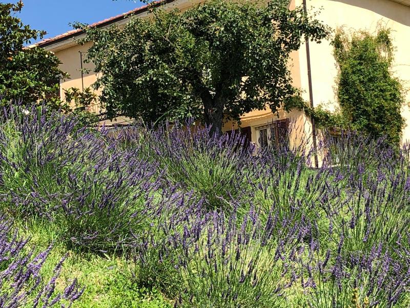Cascina Vicentini image