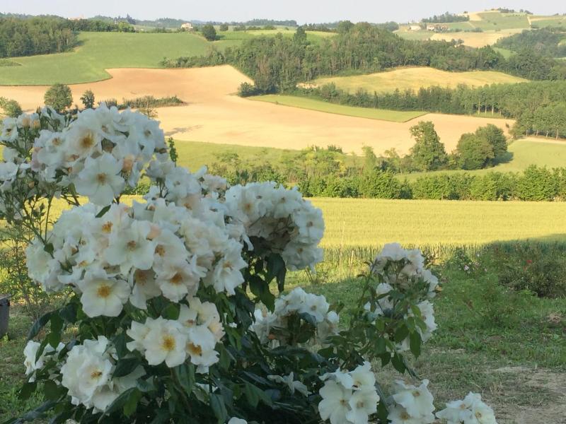 Cascina Vicentini image
