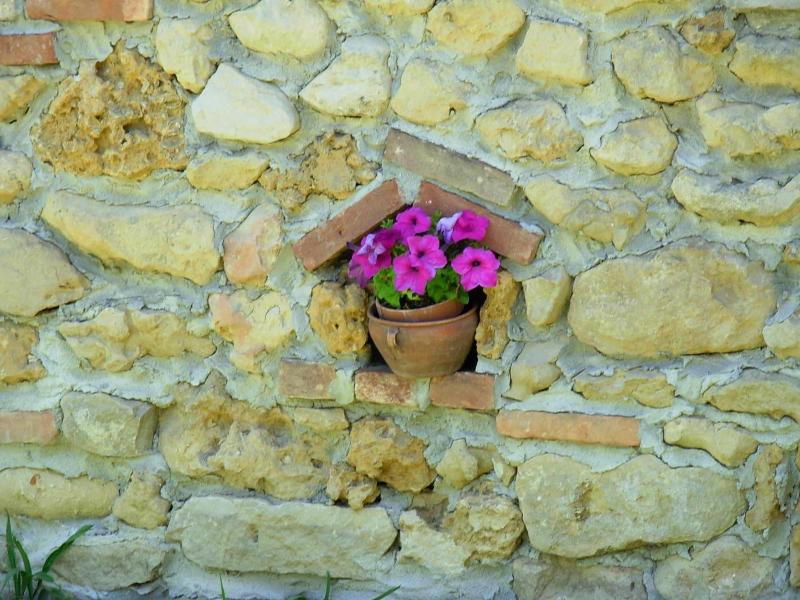 B&B Bricco Dei Ciliegi image