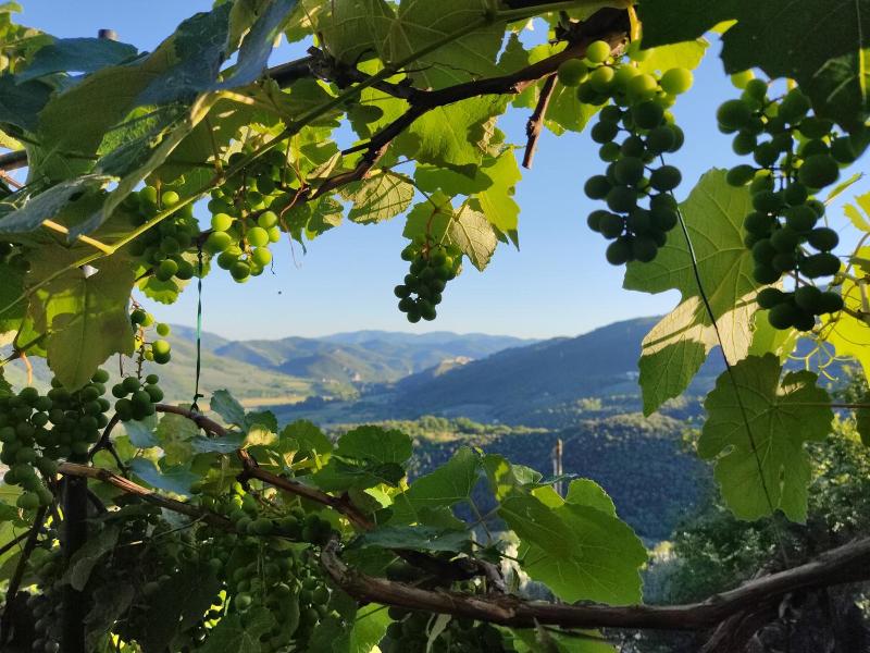 Guesthouse Runcini Dormire In Un Borgo Medievale image