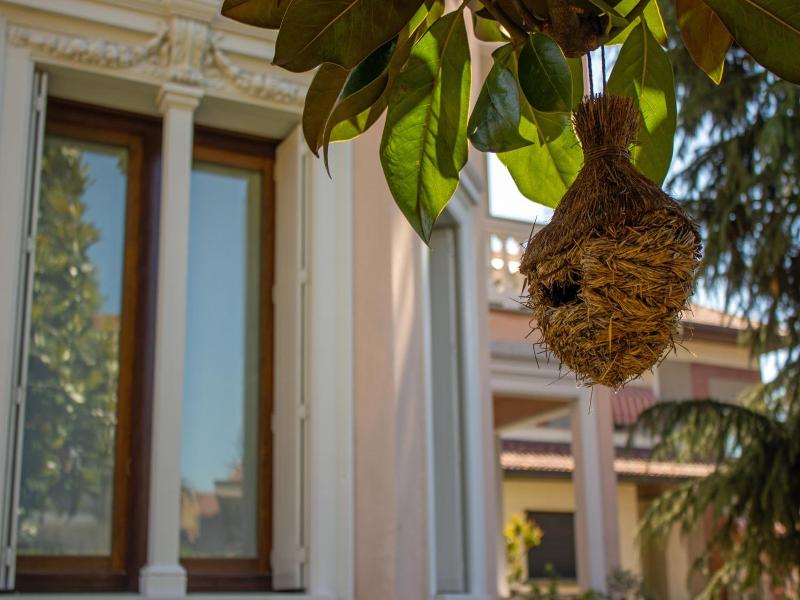 B&B Villa le Rondini image