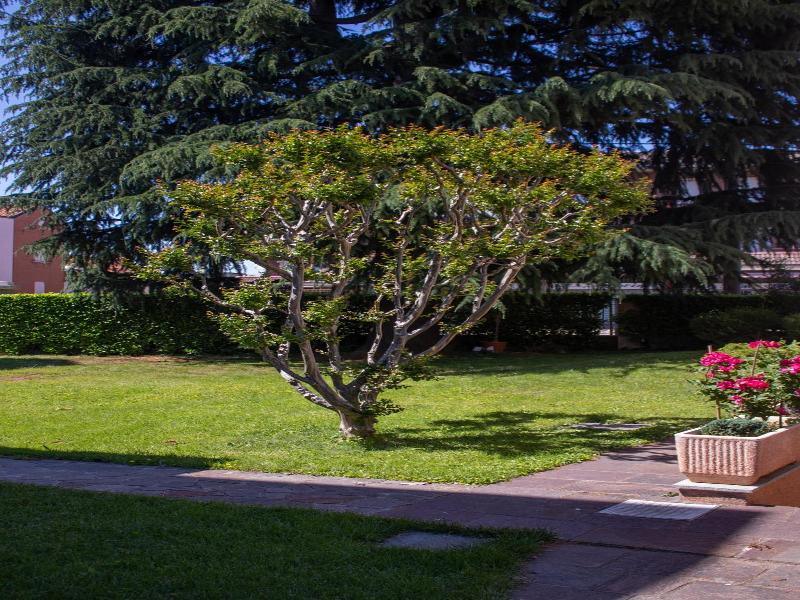 B&B Villa le Rondini image