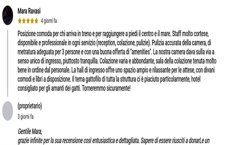 Hotel Il Gatto image