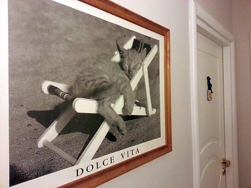 Hotel Il Gatto image