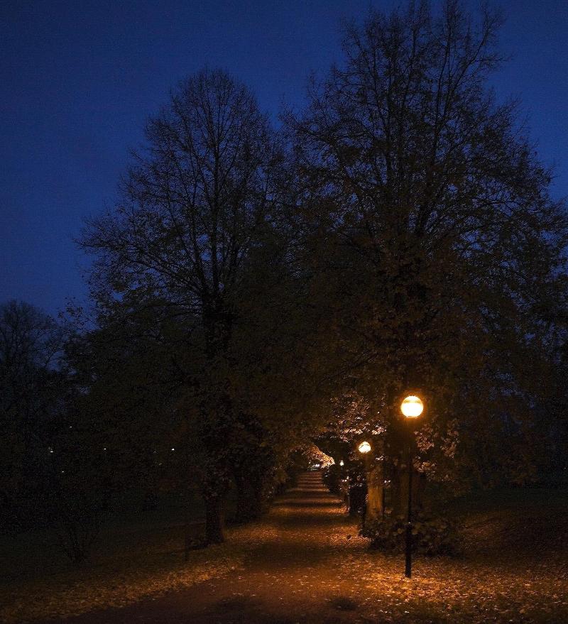 Ulfsunda Slott image
