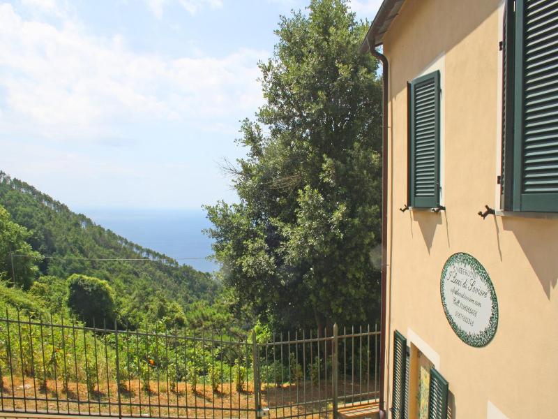 Lecci Di Soviore image