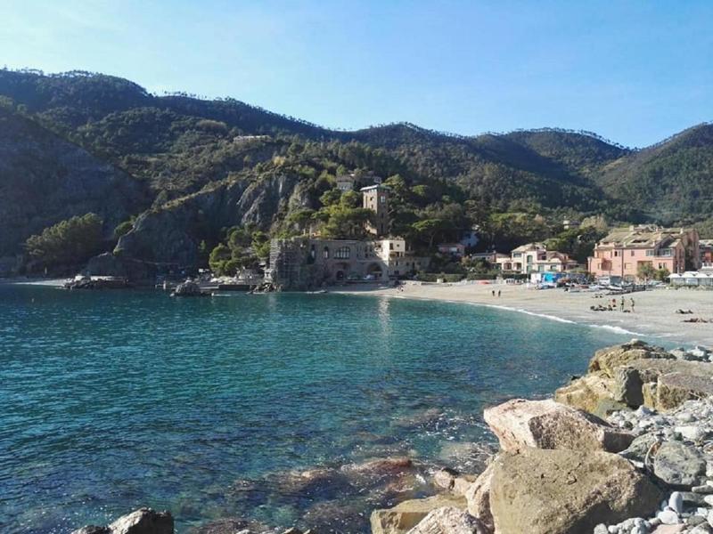 Lecci Di Soviore image