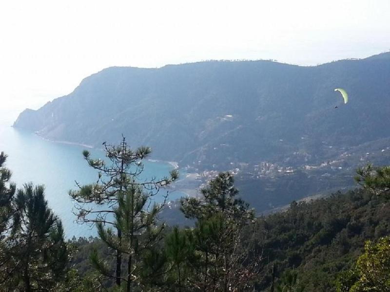 Lecci Di Soviore image