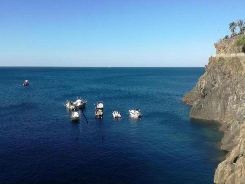 Lecci Di Soviore image