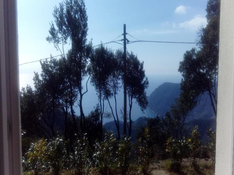 Lecci Di Soviore image