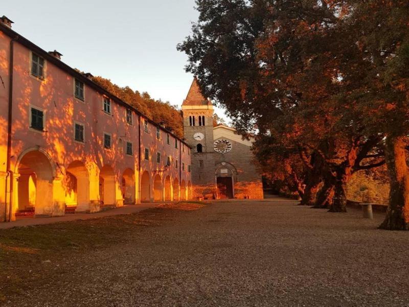 Lecci Di Soviore image