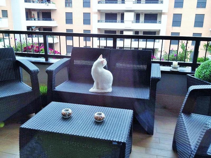 Domus Al Parco Guest House image
