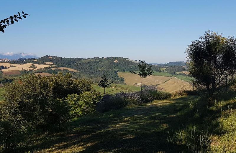 Il Casale Del Duca image