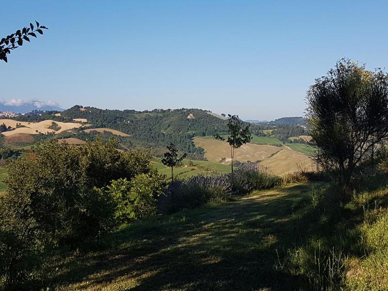 Il Casale Del Duca image