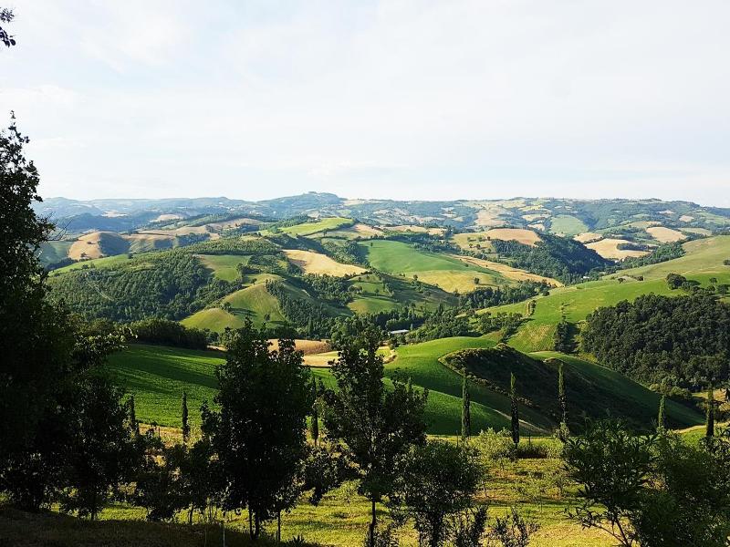 Il Casale Del Duca image