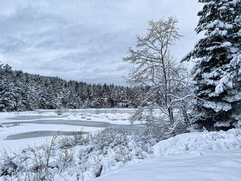 Otters Pond Bed & Breakfast image