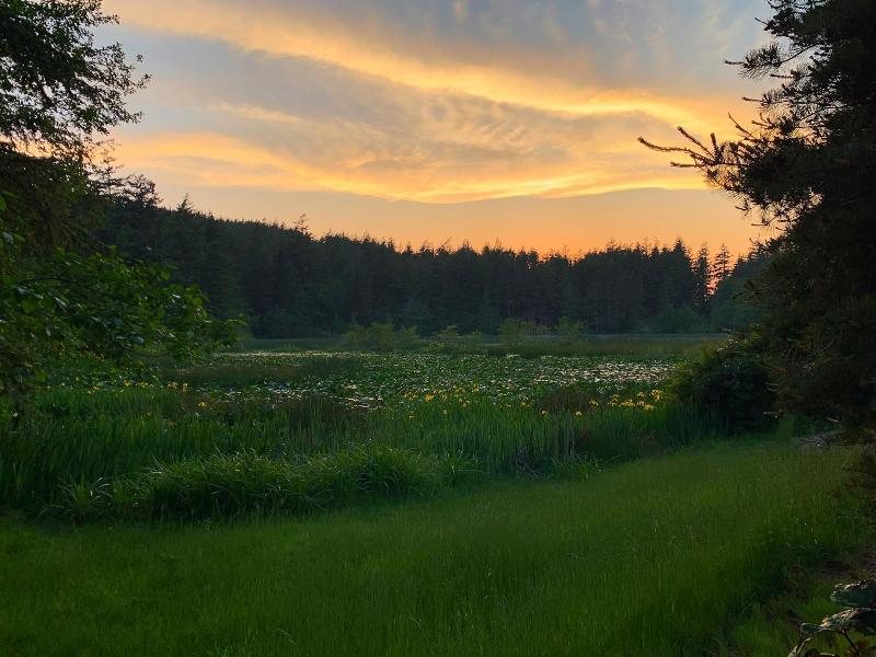Otters Pond Bed & Breakfast — general view