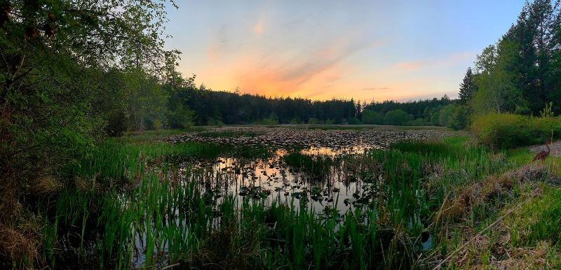 Otters Pond Bed & Breakfast image