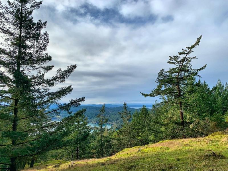 Otters Pond Bed & Breakfast — general view