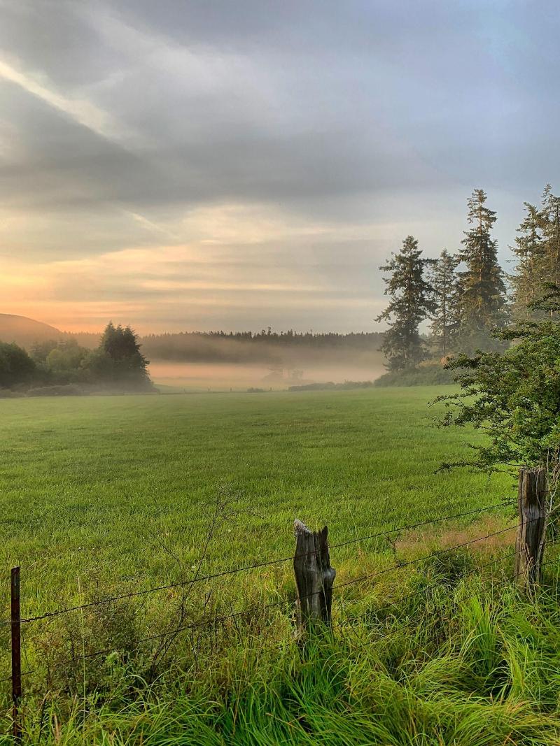 Otters Pond Bed & Breakfast image