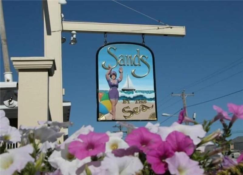 Sands By The Sea Motel image