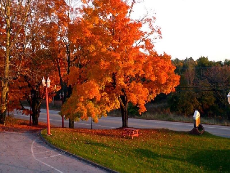 Fountain Inn image