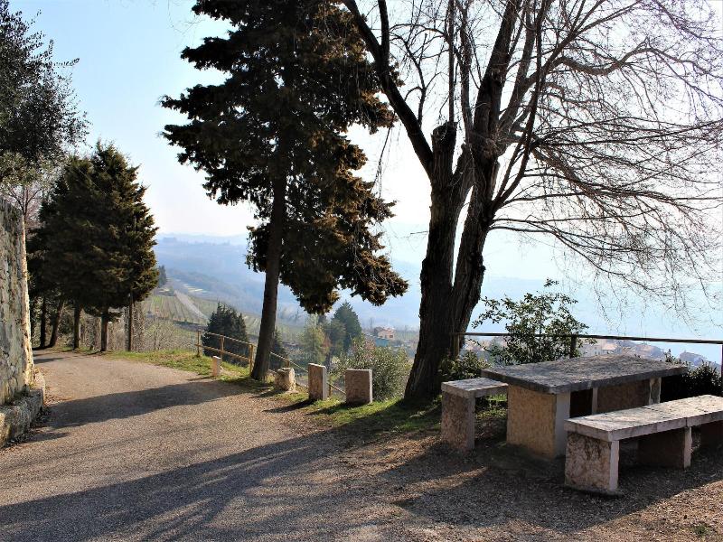 Arco di Vino - Tourist Location image
