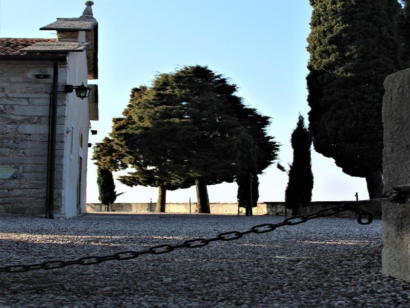 Arco di Vino - Tourist Location image