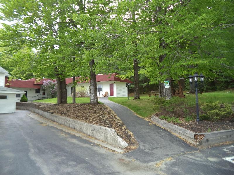 Mount Blue Motel image