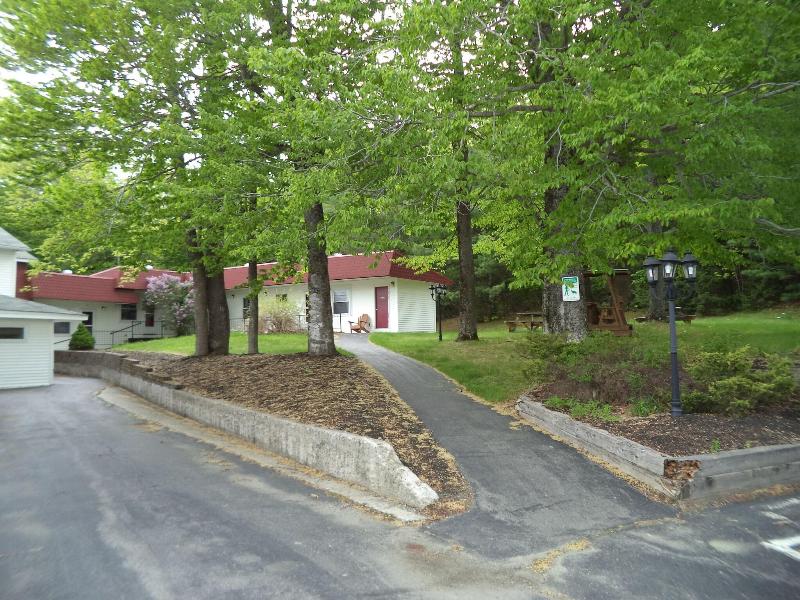Mount Blue Motel image