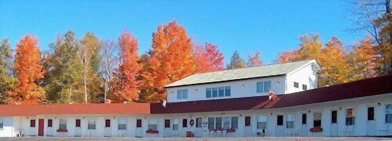 Mount Blue Motel image