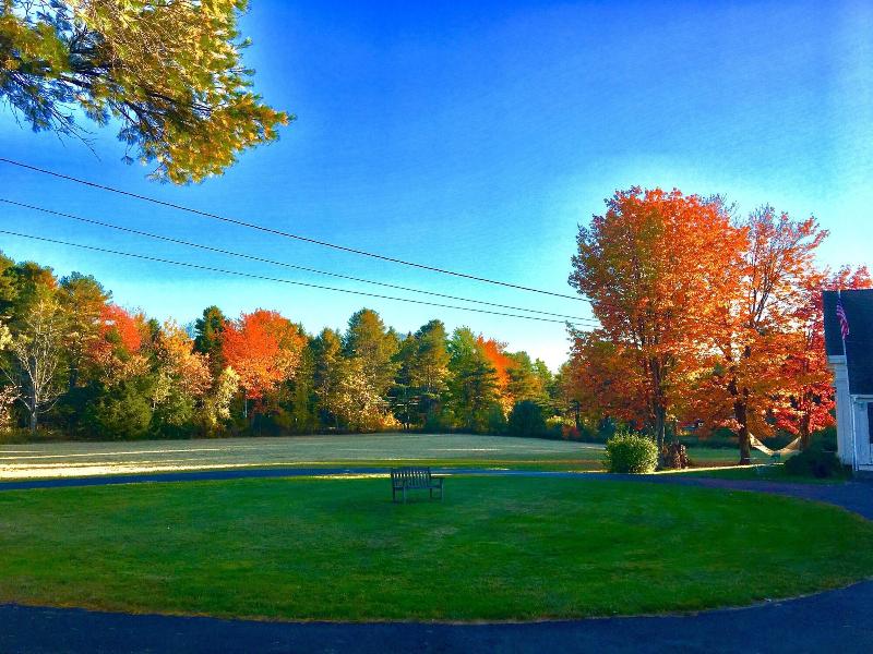 The Orchard House & Cafe image