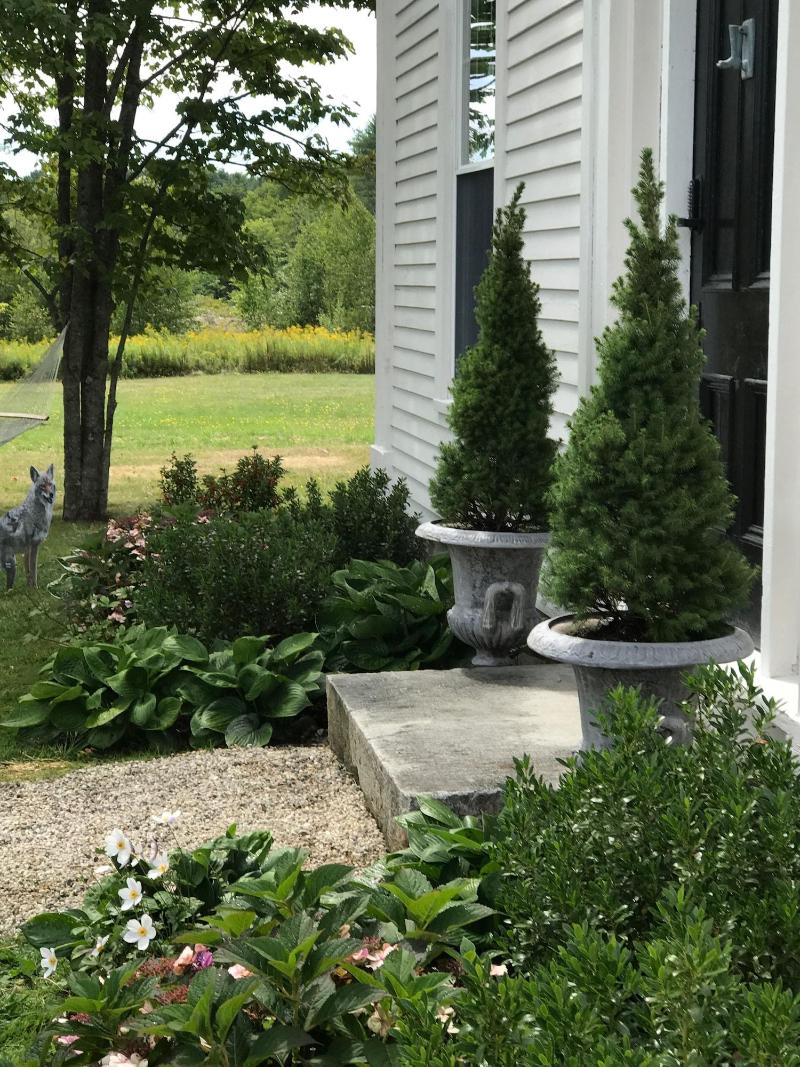 The Orchard House & Cafe image