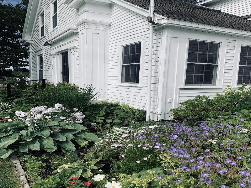 The Orchard House & Cafe image