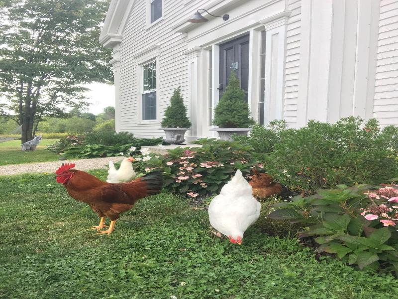 The Orchard House & Cafe image