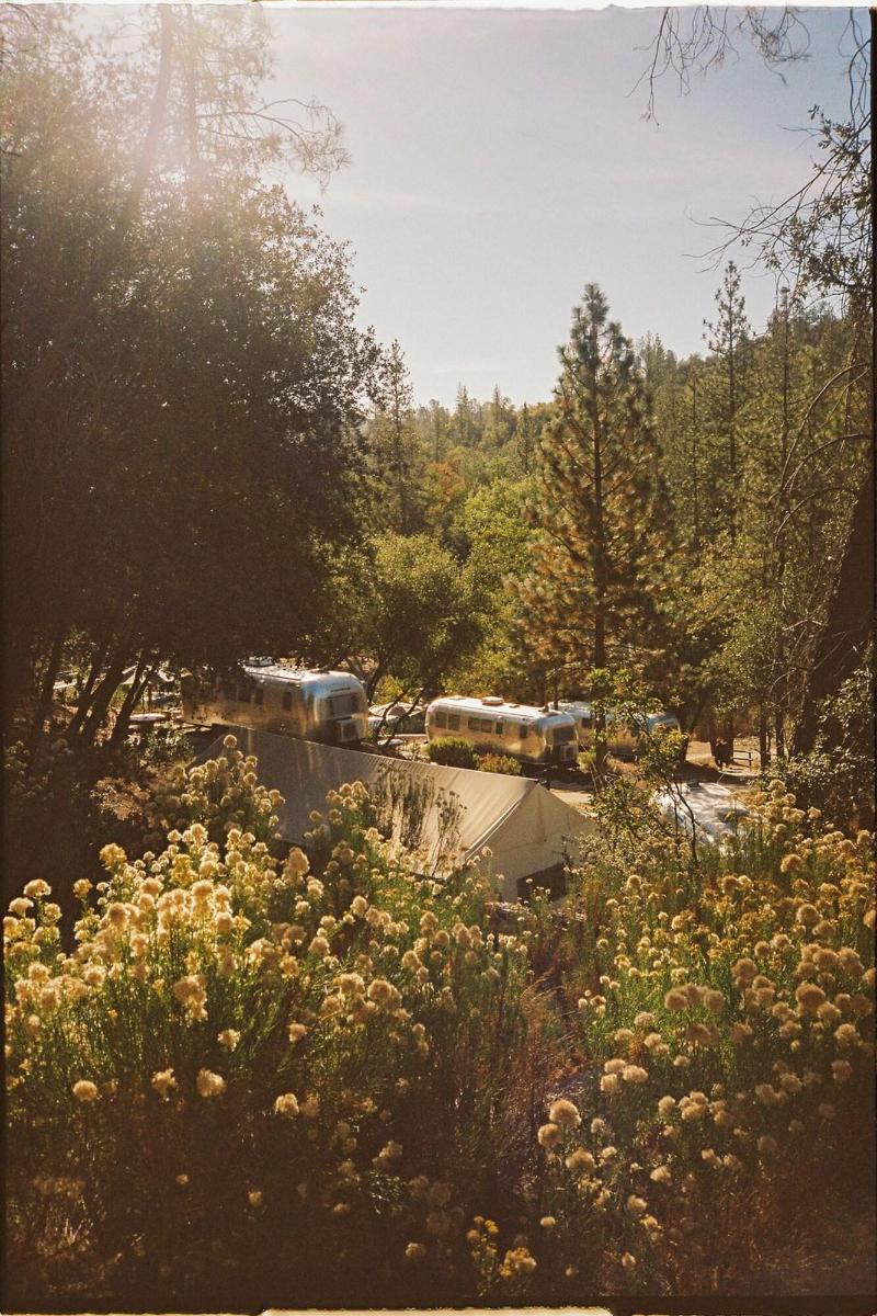 Autocamp Yosemite image