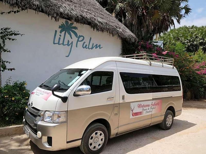 Lily Palm Resort image