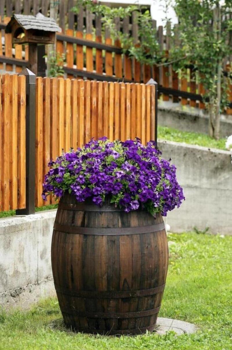 Al Sole Albergo Ristorante image
